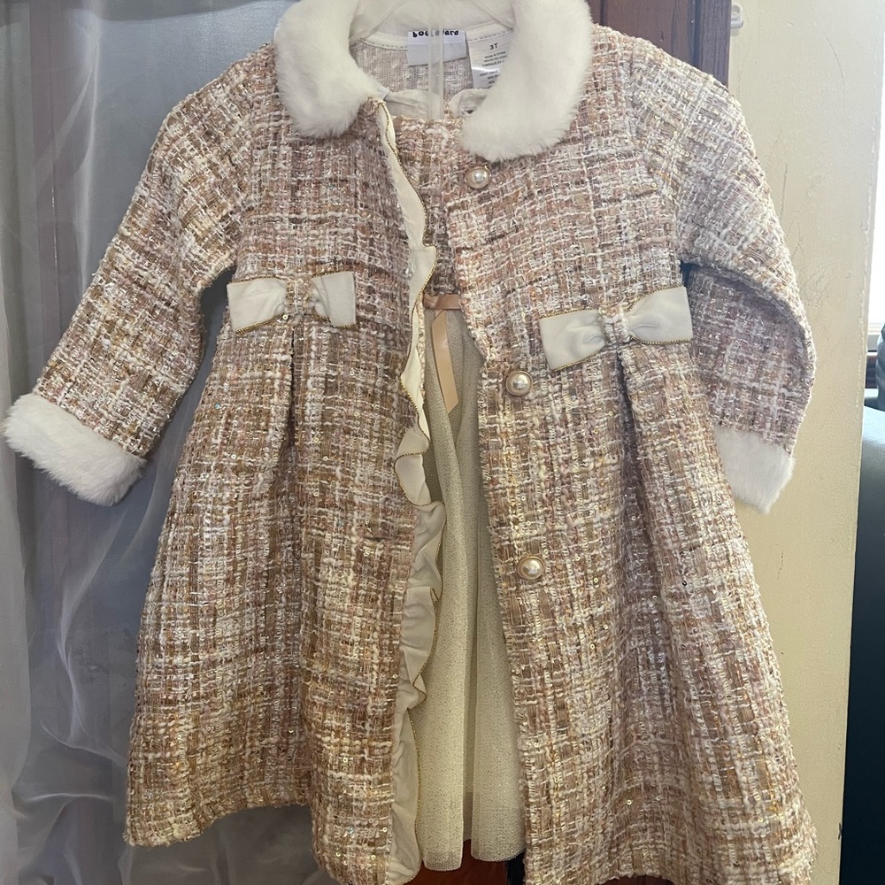 3T toddler blueberries boulevard coat dress 2 in 1